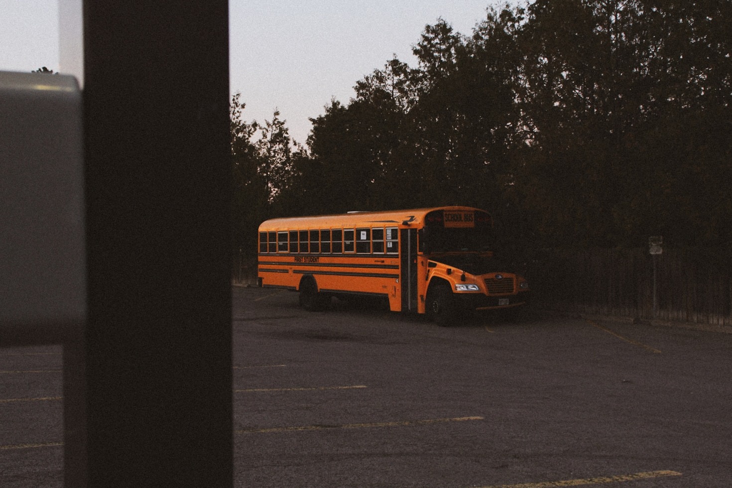 Why Lifelong Learning Matters More Than Ever